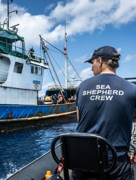 Sea Shepherd, Get active now