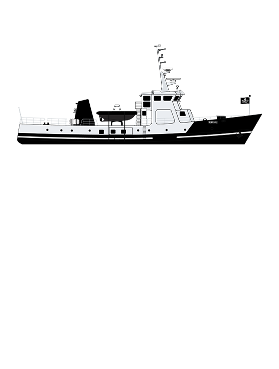 ocean warrior yacht
