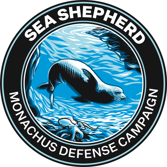 Sea Shepherd Global