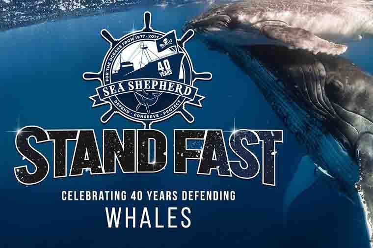 https://static.seashepherdglobal.org/media/filer_public_thumbnails/filer_public/83/4b/834b7ed9-e7ae-46e1-97f9-7e54b4f4d82c/8_40_years_of_whale_defence_760_x_505.jpg__760x505_q85_crop_subsampling-2.jpg